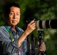 12足球电竞比分-12足球电竞比分，虚拟绿茵场上的数字盛宴