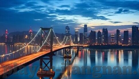 2006世界杯明星图-2006世界杯明星图，星光熠熠的绿茵盛宴