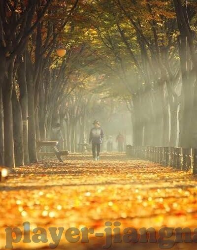 看全球足球比分-全球足球比分大观，一场跨越时空的激情盛宴