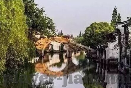足球比分网探-足球比分网探秘，数据海洋中的绿茵风云